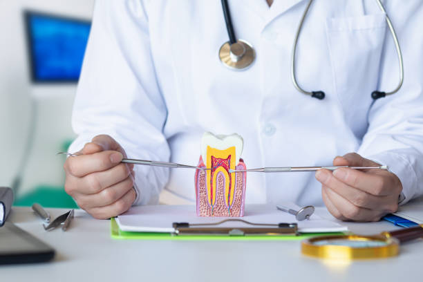 Best Emergency Dental Extractions in Fifth Street, TX